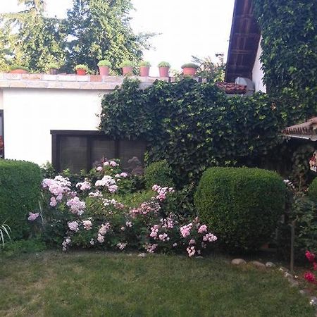Matsureva House - Pri Ivan Bansko Exterior foto